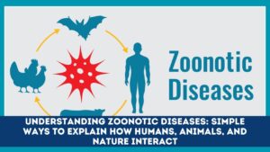 Understanding Zoonotic Diseases: Simple Ways to Explain How Humans, Animals, and Nature Interact